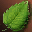 etc_leaf_green_i00.png