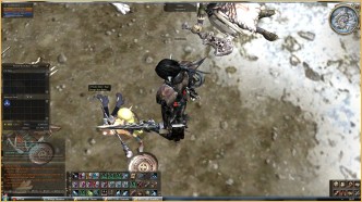 Strange Situation, lineage 2 items, l2 clan siege