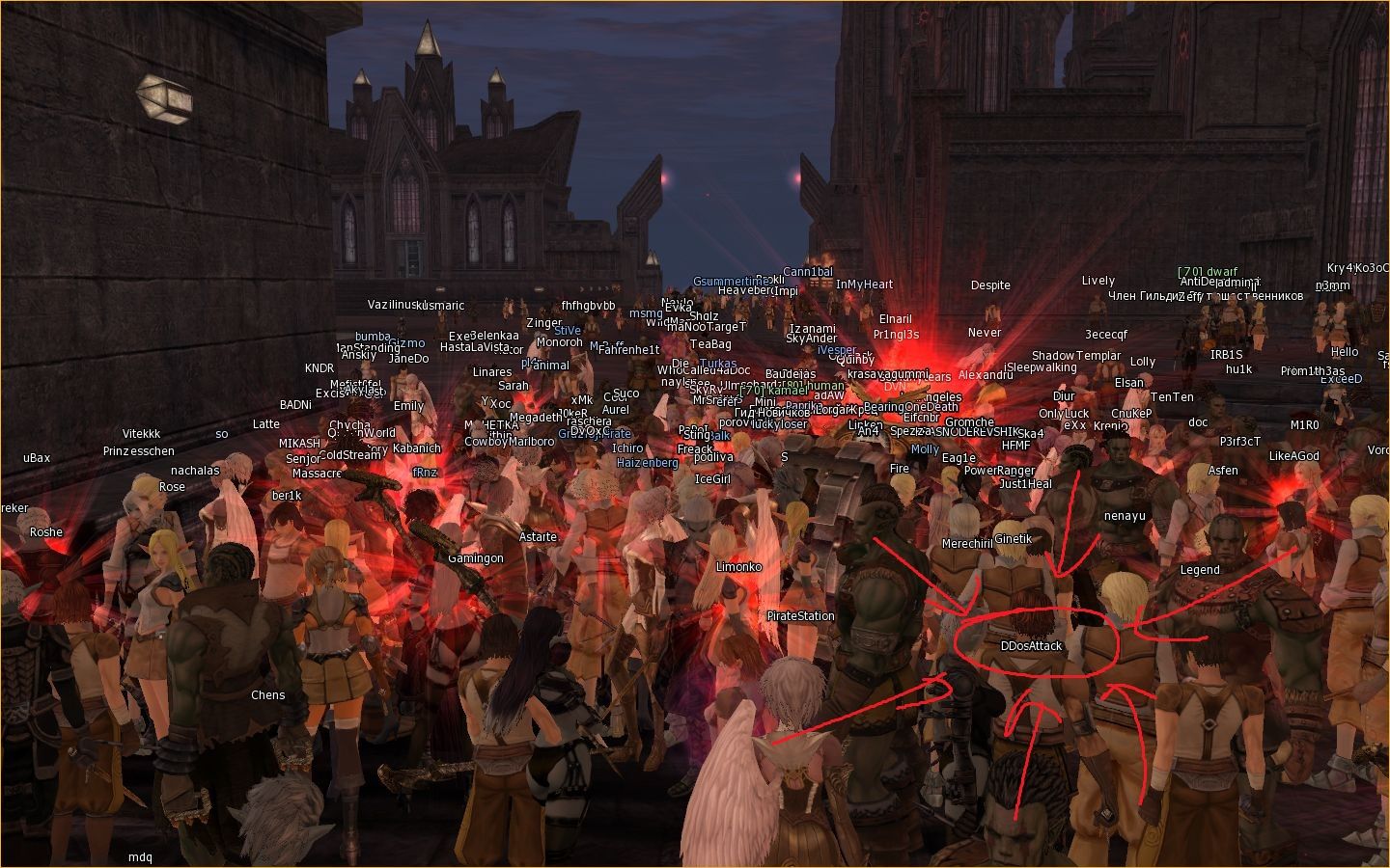 2.jpg
