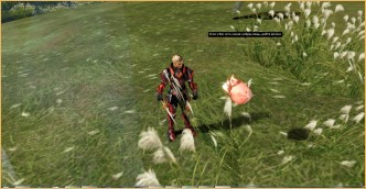Life is the Race / Treasure Hunter interview, lineage2 interlude servers, lineage ru